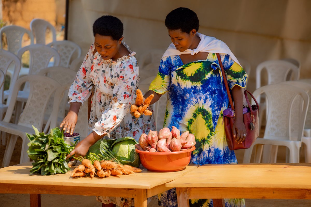 CrsRwanda's tweet image. CRS and @AGRA_Rwanda through the Great Lakes Accelerated Innovation Delivery Initiative Rapid Delivery Hub (AID-I GLR), are conducting weeklong marketing campaigns to promote the benefits of improved #seeds and other agricultural #inputs.
@IITARWANDA @RwandaAgriBoard