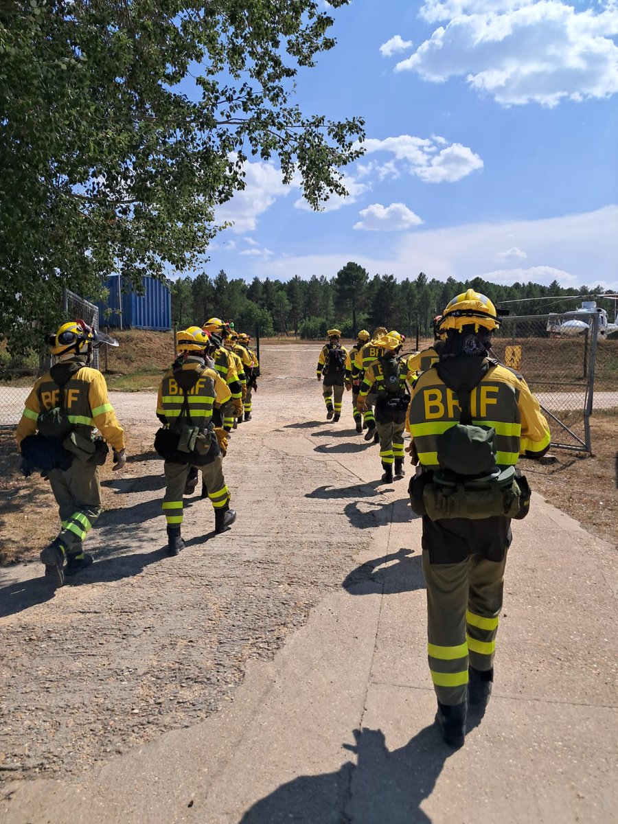 BRIF-A LUBIA tweet media