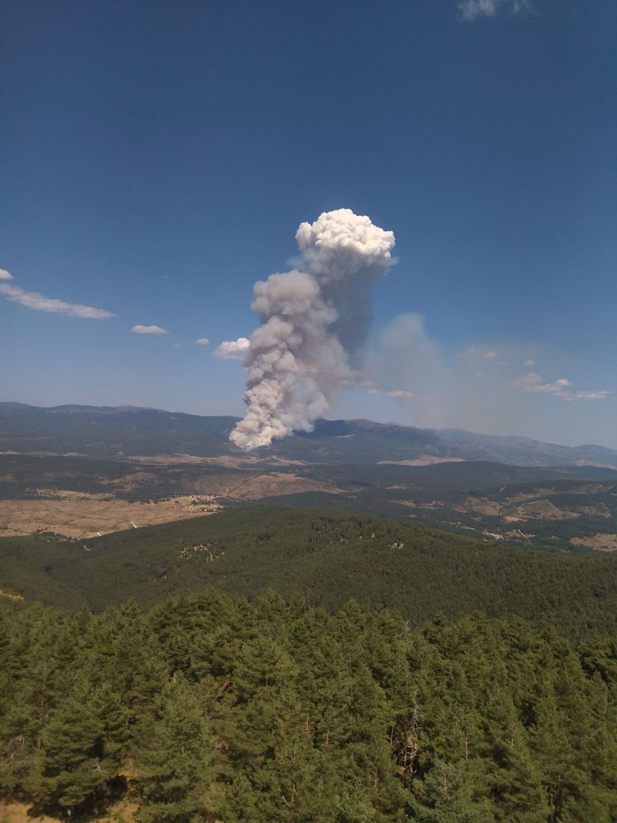 BRIF-A LUBIA tweet media