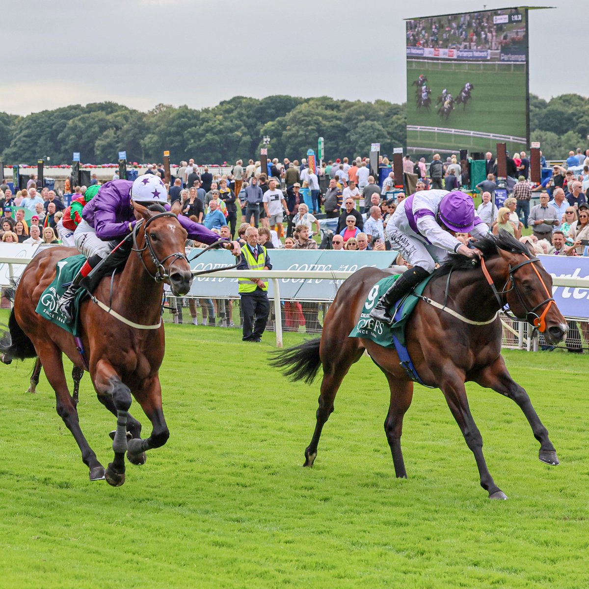 Racing Post tweet media