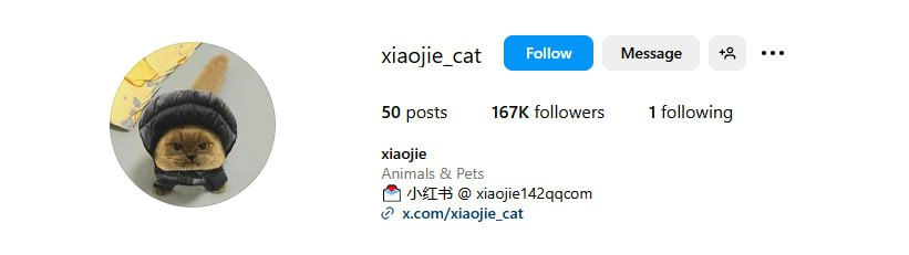 OzaruSama's tweet image. If you want Mr.

You can get into the next $POPCAT on $TRX!

Meet Xiaoije, the most famous instagram cat in China! What a cutie not going to lie.

$XIAO is purrfect to take that spot on TRON chain. It&apos;s a CTO with a diamond floor ready to grind to that top spot.…
