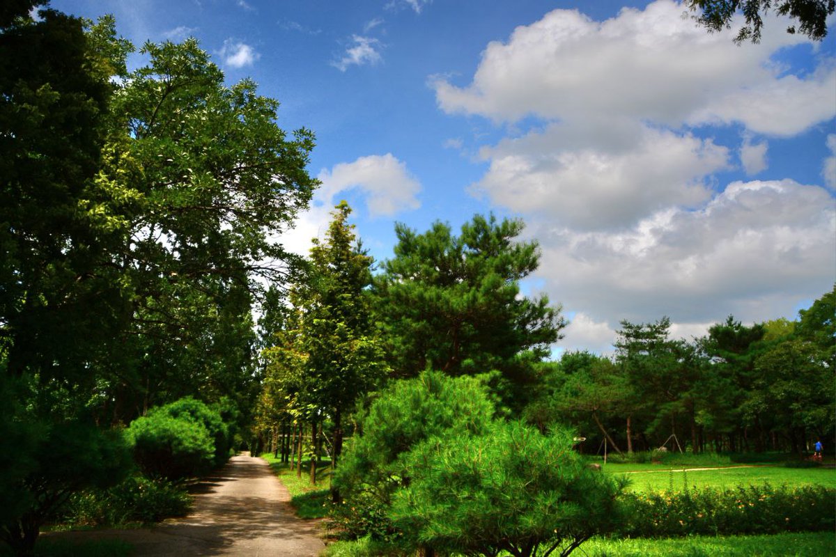 꽃과행복(맞팔100%) (@39cmahs) on Twitter photo 