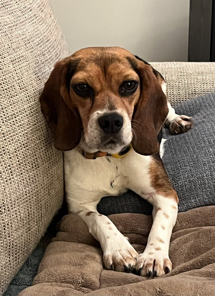 10MinDQ's tweet photo. @CoachRobynR If you have got them flaunt them. #Grumples and we know all about trying to get a good pic of 2. https://t.co/YvqXZNvhQk