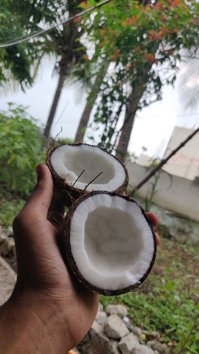 SnapSagar's tweet photo. Home rituals 🌴🌊🐚🧑‍🚀 https://t.co/VV2Ur9xbS2