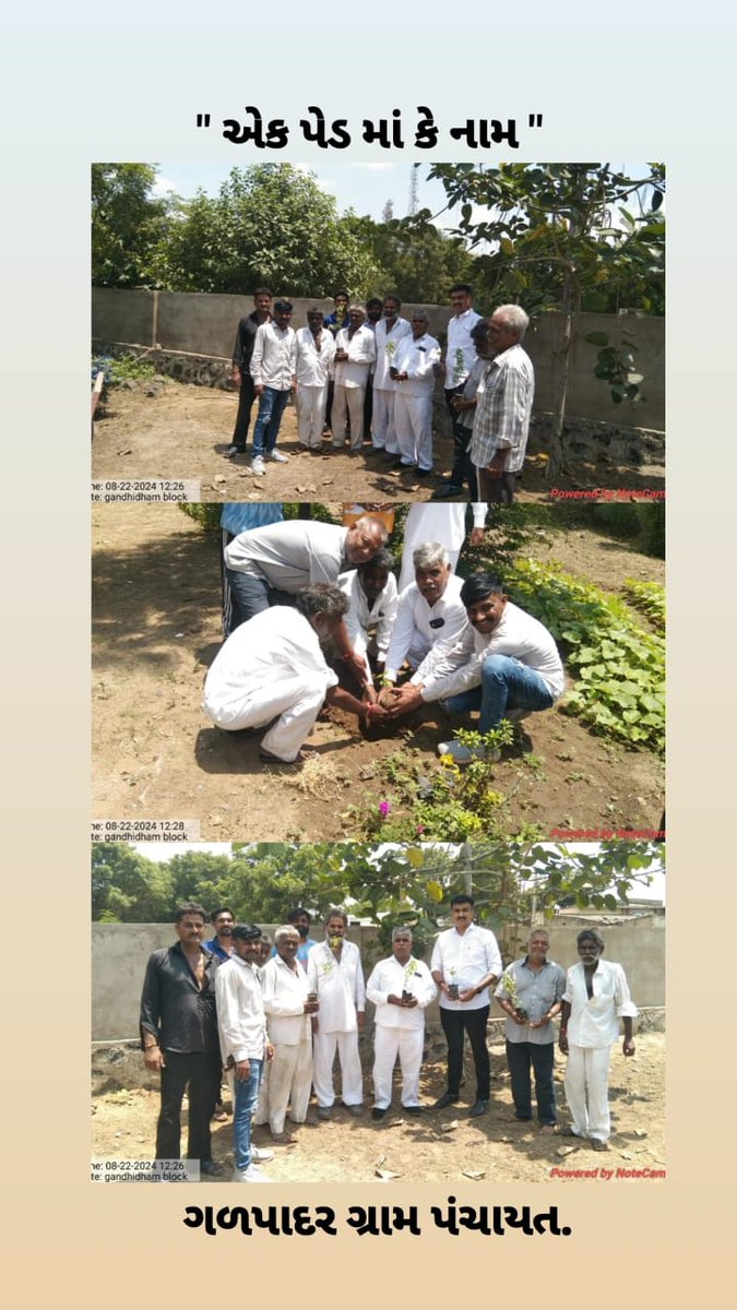 #એકપેડમાંકેનામ અભિયાન અંતર્ગત કચ્છ જિલ્લાના તમામ તાલુકામાં મનરેગા યોજના અંતર્ગત વૃક્ષારોપણ કરવામાં આવ્યું.
<a href="/DrdaKachchh/">DirectorDRDAKachchh (Kutch)</a> 
<a href="/KutchDdo/">DDO Kutch</a> 
<a href="/crdgujarat1/">Commissionerate of Rural Development,Gujarat</a> 
<a href="/MGNREGAGujarat/">Gujarat MGNREGA</a>