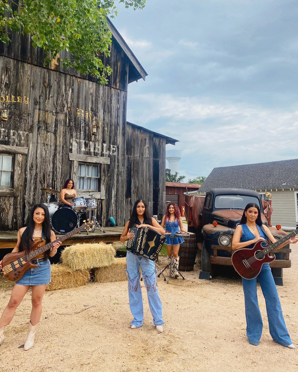 Las Fenix tweet media