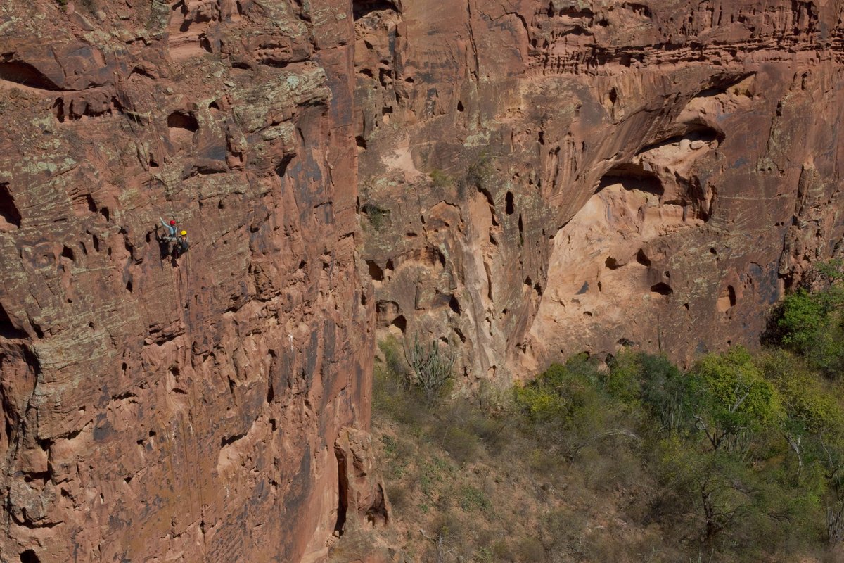 EricaPacifico's tweet photo. Science on the edge: how extreme outdoor skills enhanced our fieldwork https://t.co/xHXXCGY98v https://t.co/vXnf3cdYrm