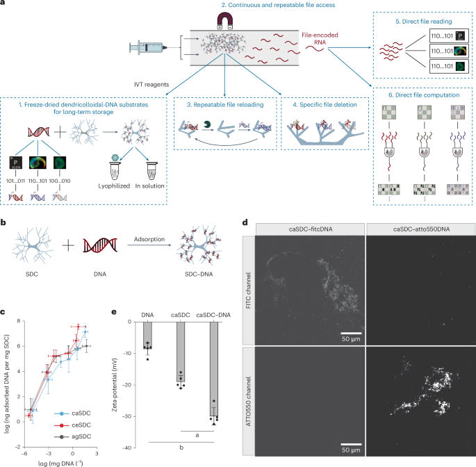 A primordial DNA store and compute engine dlvr.it/TCFbKZ nanotechnology