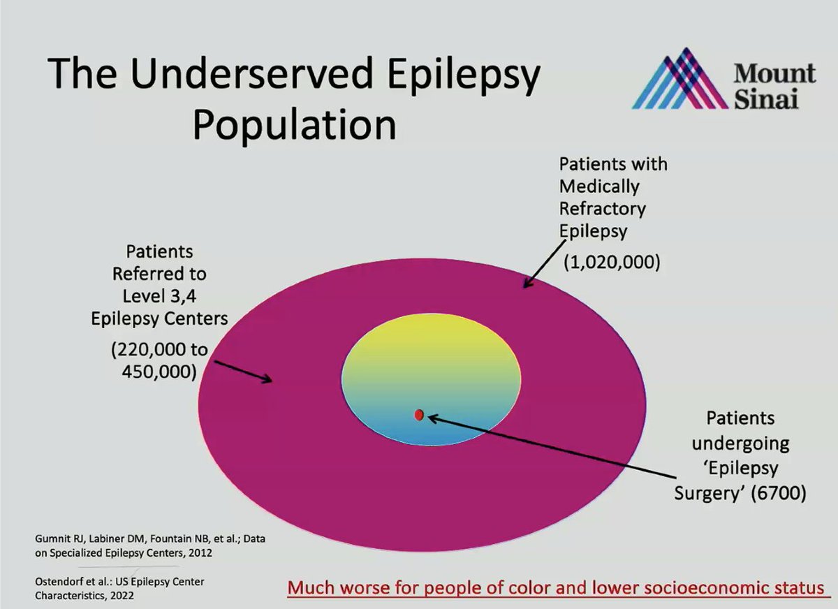 Despite all the advances in epilepsy and in epilepsy neuromodulation (DBS) the population remains woefully underserved. Drs Ghatan, Fox and Gregg bringing new thoughts to the table <a href="/DBSThinkTank/">DBS Think Tank</a>