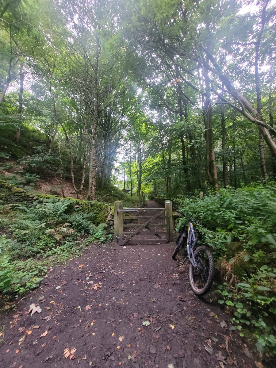 swearyprof's tweet photo. Hayfield: it's quiet and dry on the hills but busy down the bridleways leading to Kinder Scout and the village. Many polite fellrunners on the way uphill, give them a shout or a whistle before any blind bends. Campsite descent damp but solid, surprisingly @KoftheP #darkpeak #ukeP https://t.co/FvPZoalO2X
