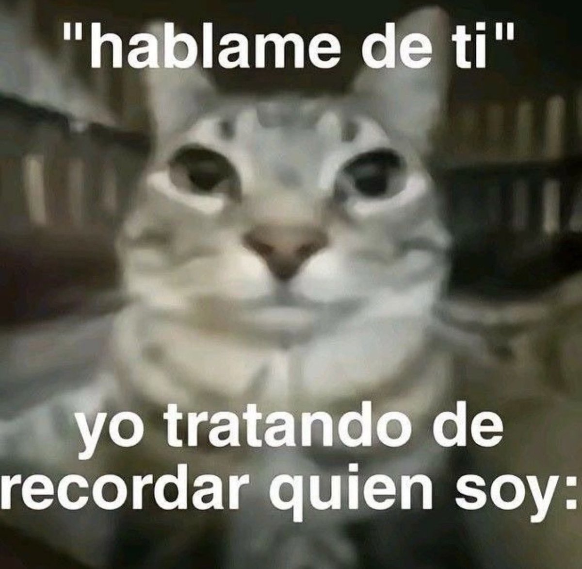 bautiz tweet media