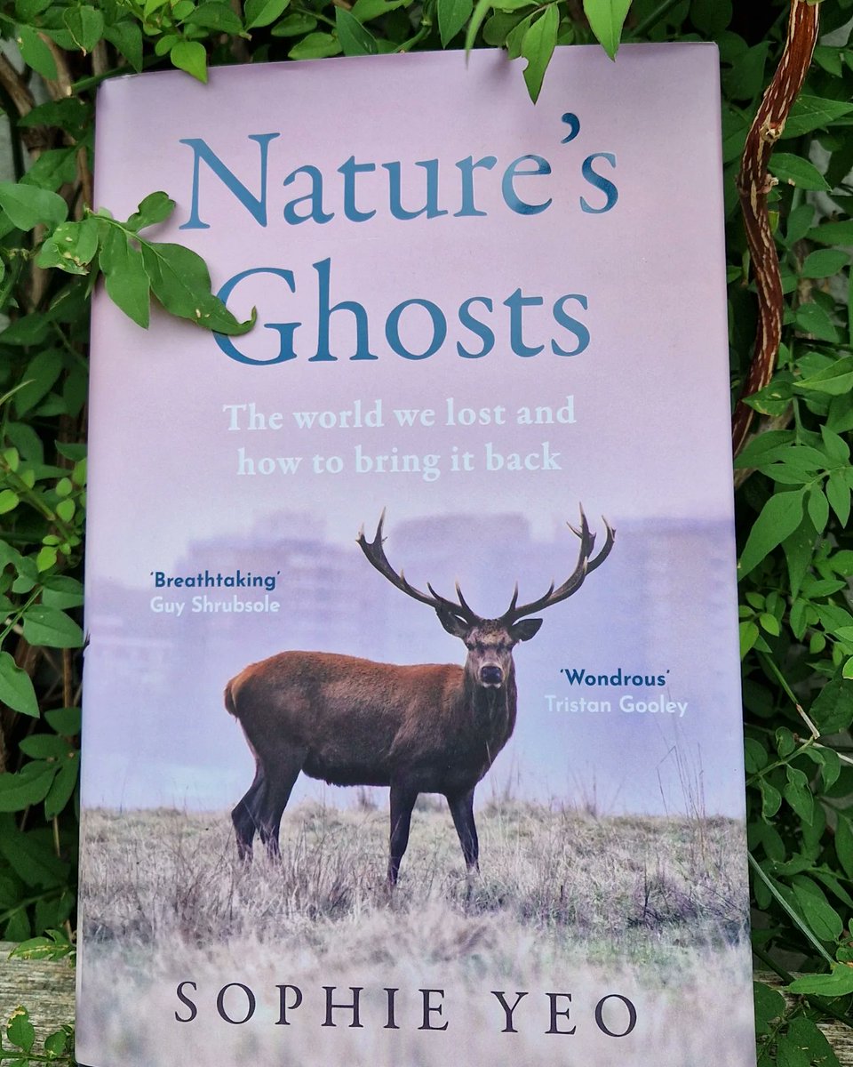 Climate Action North (@climateactionne) on Twitter photo Another brilliant and super interesting #BookWilding chat this evening with <a href="/some_yeo/">Sophie Yeo</a> chatting about #NaturesGhosts - a very highly recommended read and superb research too. Available from our <a href="/drakebookshop/">DRAKE The Bookshop</a> bookshelf ππΌ
uk.bookshop.org/lists/book-wilβ¦
#rewilding #books #inspiration Another brilliant and super interesting #BookWilding chat this evening with <a href="/some_yeo/">Sophie Yeo</a> chatting about #NaturesGhosts - a very highly recommended read and superb research too. Available from our <a href="/drakebookshop/">DRAKE The Bookshop</a> bookshelf ππΌ
uk.bookshop.org/lists/book-wilβ¦
#rewilding #books #inspiration