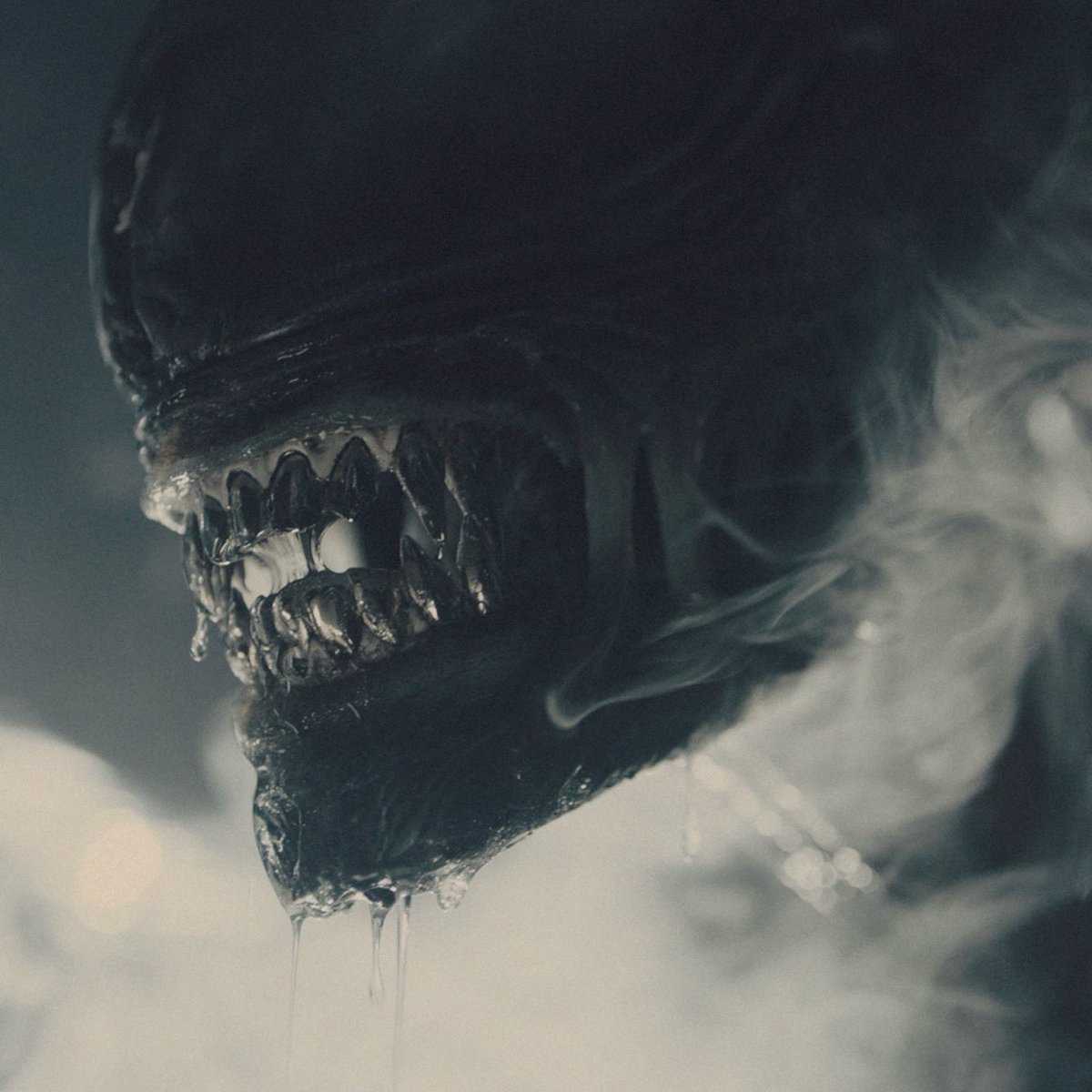 VenusInHell's tweet photo. Just saw AIien RoмuIus and I now have the biggest aIien x skiddlez brainrots. For some reason jsvng is giving me final girl energy. He’ll be the last one standing for sure (chngbn dies first sorry bby) but also isn’t the хеnомоrрн just such a cutiepie they’d make a cute couple 🫶 https://t.co/RF4q0DidYK