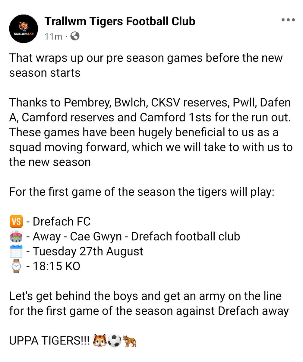 🐯⚽🐅