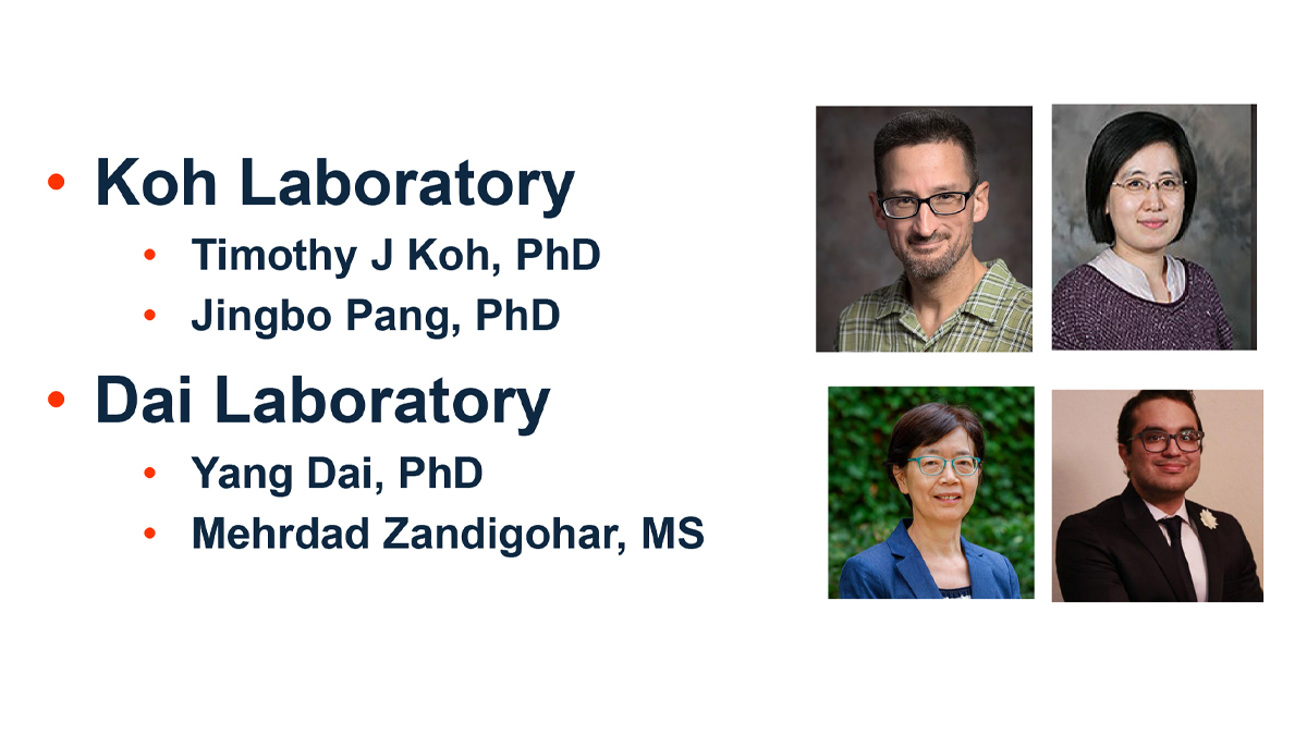 The Journal of Immunology (@j_immunol) on Twitter photo 🎉 This #JI_TopRead by Zandigohar & Pang et al. provides insights into transcription factors that regulate monocytes & macrophages during #WoundHealing. #ReadTheJI #immunology 
Read more here ➡️ ow.ly/rCVu50T3cmG 🎉 This #JI_TopRead by Zandigohar & Pang et al. provides insights into transcription factors that regulate monocytes & macrophages during #WoundHealing. #ReadTheJI #immunology 
Read more here ➡️ ow.ly/rCVu50T3cmG