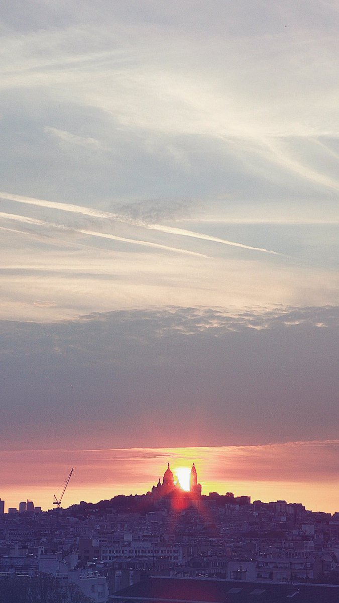 Mc Laughlin Julien tweet media