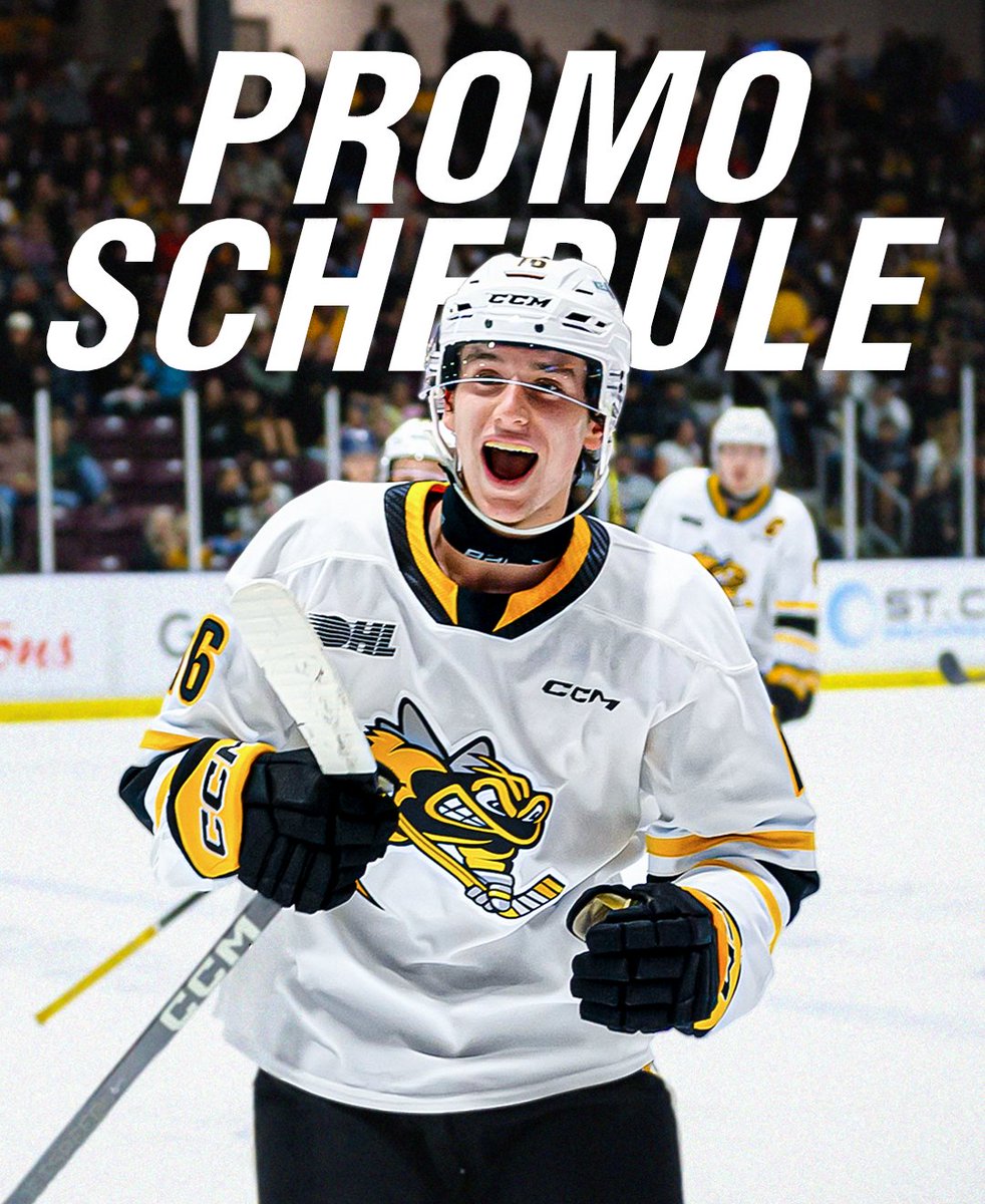 Sarnia Sting tweet media