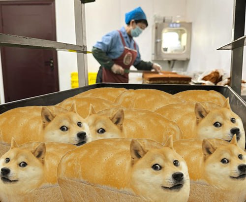Sushitatoos's tweet photo. @Yesdrewskiii @Numerooo0 /BUY_AND_HOLD_DOGEI https://t.co/tVDMdLSJIb