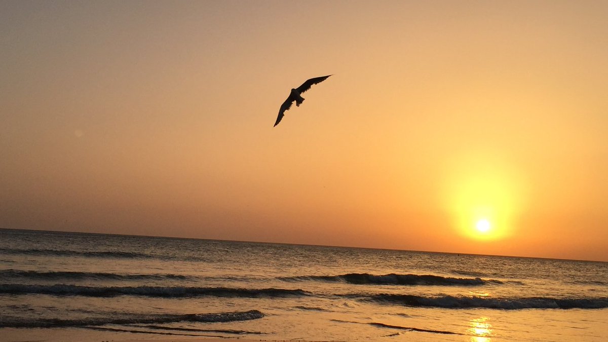 ecruzlibro's tweet photo. Rayando el sol https://t.co/YuH5BZ3665