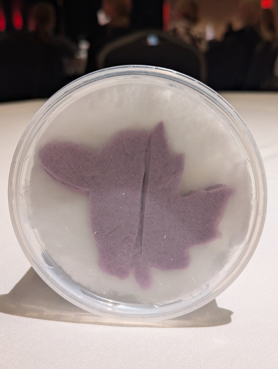 tzakowsky's tweet photo. Conference life: for some inexplicable reason I am eating cotton candy at 8:00 in the morning. 😆
#CDNBeefConf https://t.co/d4ZNod4SZa