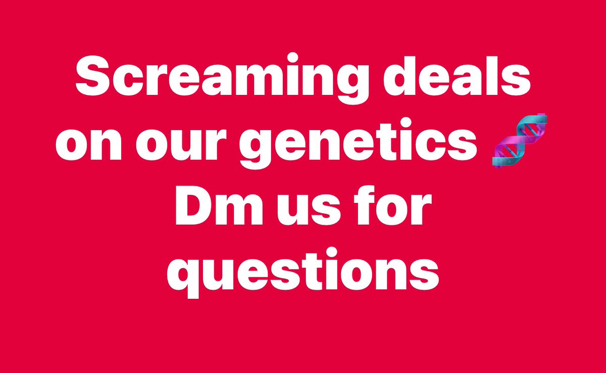 truleaf3's tweet photo. Dm us https://t.co/F1C5gODL7D