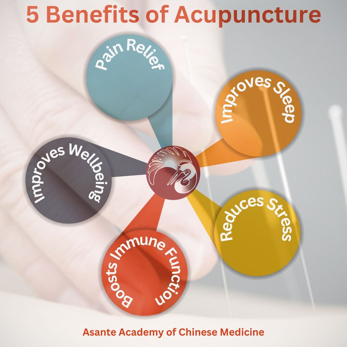 Acupuncture is widely used to treat a variety of health problems. For more info, visit our website. 
asante-academy.com

#acupuncture #acupunctureworks #chinesemedicine #holistichealth #holistichealing #pain #painrelief #health #wellbeing #wellness #london #northlondon