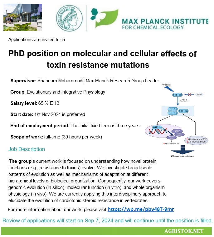 📌 PhD Fully Funded Position Molecular and Cellular Effects of Toxin Resistance Mutations 🦠🧫 at the Max Planck Institute for Chemical Ecology in Germany 🇩🇪... Please share and spread the word! For details visit: wp.me/pbv48T-9mr