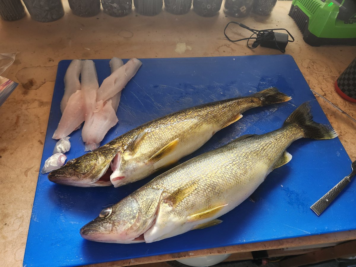 Had a fun night of fishing last evening with <a href="/Boho_Studio/">RobsBohoStudio</a>. Some good laughs and a handful of fish despite the cold fall like temps.