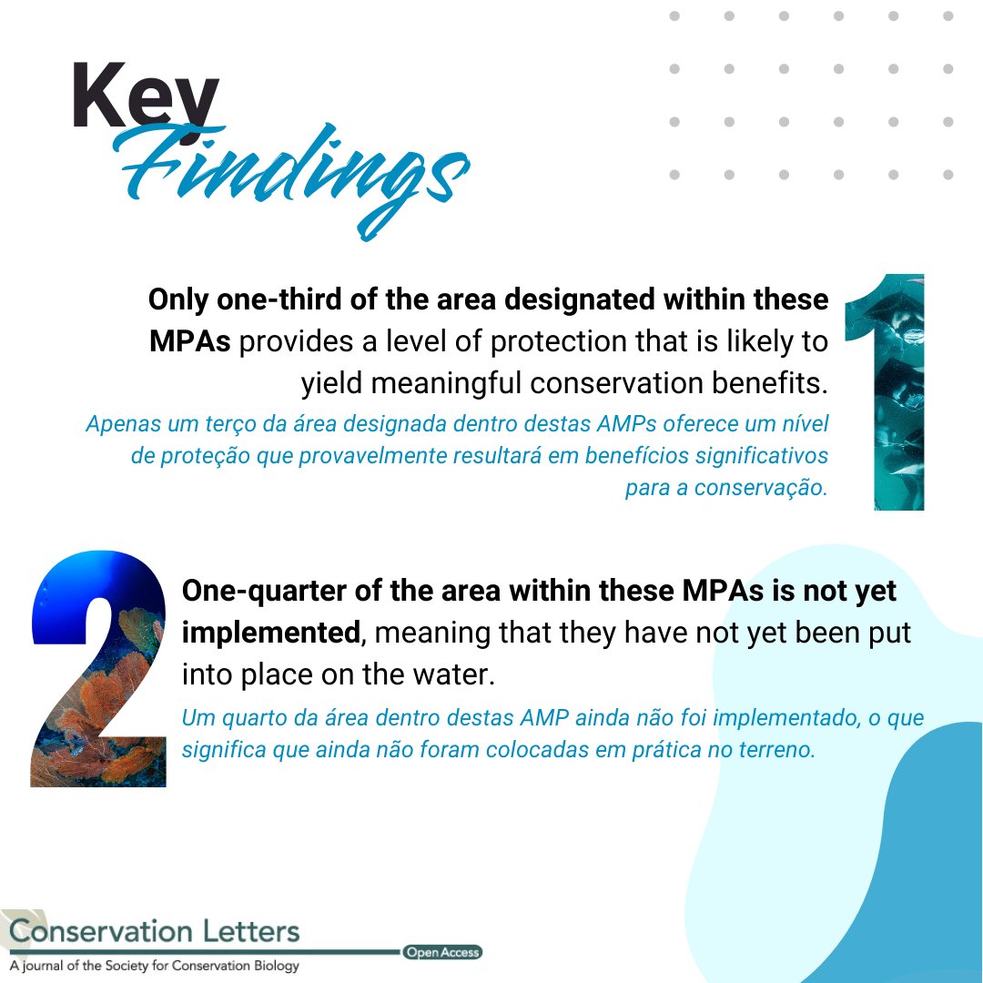 fbc_ccmar's tweet image. Our researchers are making waves!🌊Today&apos;s &quot;Scientifically Speaking&quot; dives into a new paper assessing MPA effectiveness towards the 30x30 target. Written by an international team including our researcher Bárbara Horta e Costa: shorturl.at/aeSDs #MarineConservation #MPAGuide