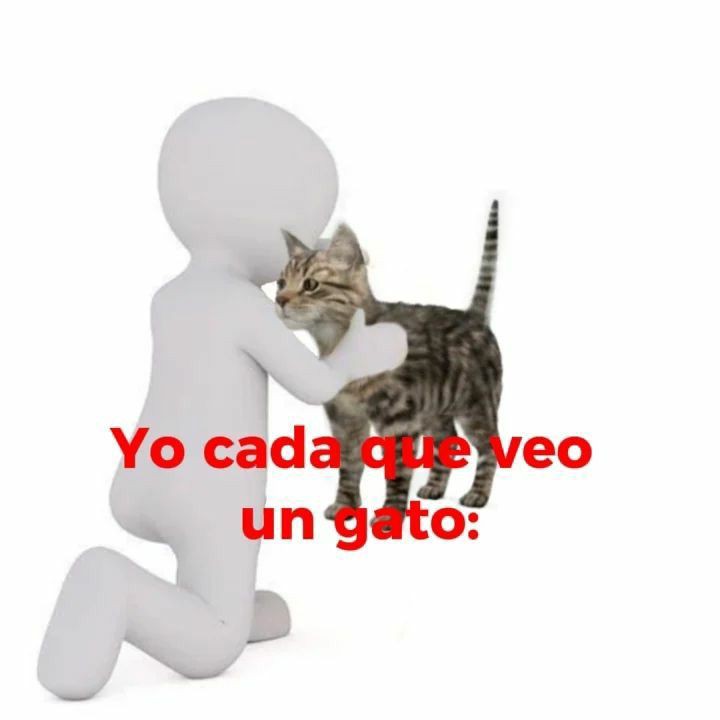 misaboca's tweet photo. buen díaa https://t.co/suxRgvqRxN