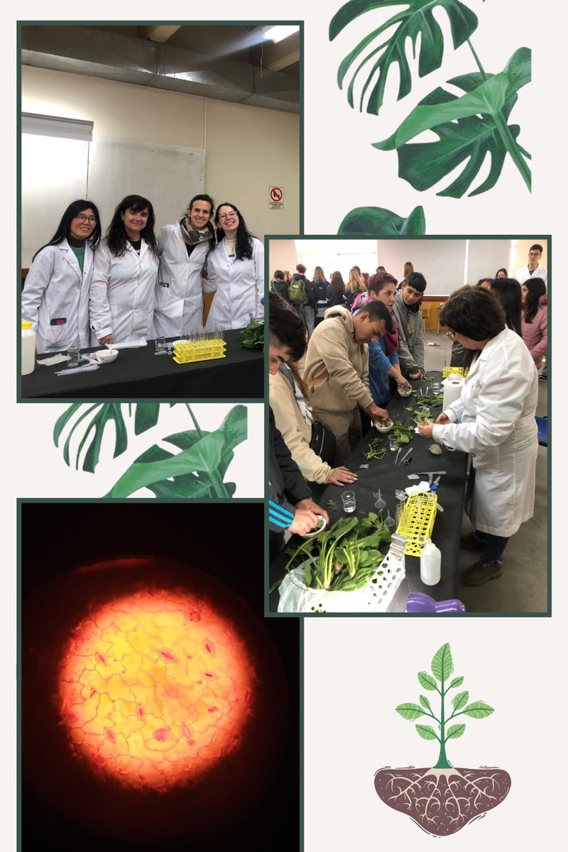 CEFOBI_CONICET's tweet image. @CEFOBI_CONICET en la XVI Semana de la Química y I Jornadas de Ciencias Biológicas, los días 30, 31 de julio y 1 de agosto en @fbioyfunr #Estomas & #Fotosíntesis en vivo. Más info en la página web cefobi-conicet.gov.ar