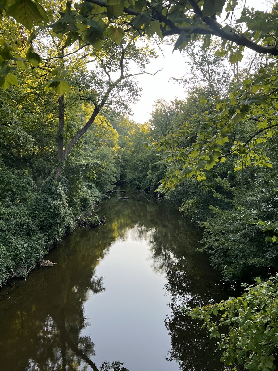 As a Sahelian, I am always grateful to walk through parks where I can admire tranquil rivers and lush green canopies. As a hydrologist, these walks remind me of the crucial role water plays in sustaining life and ecosystems.
#RockCreekPark #TheGiftOfNature