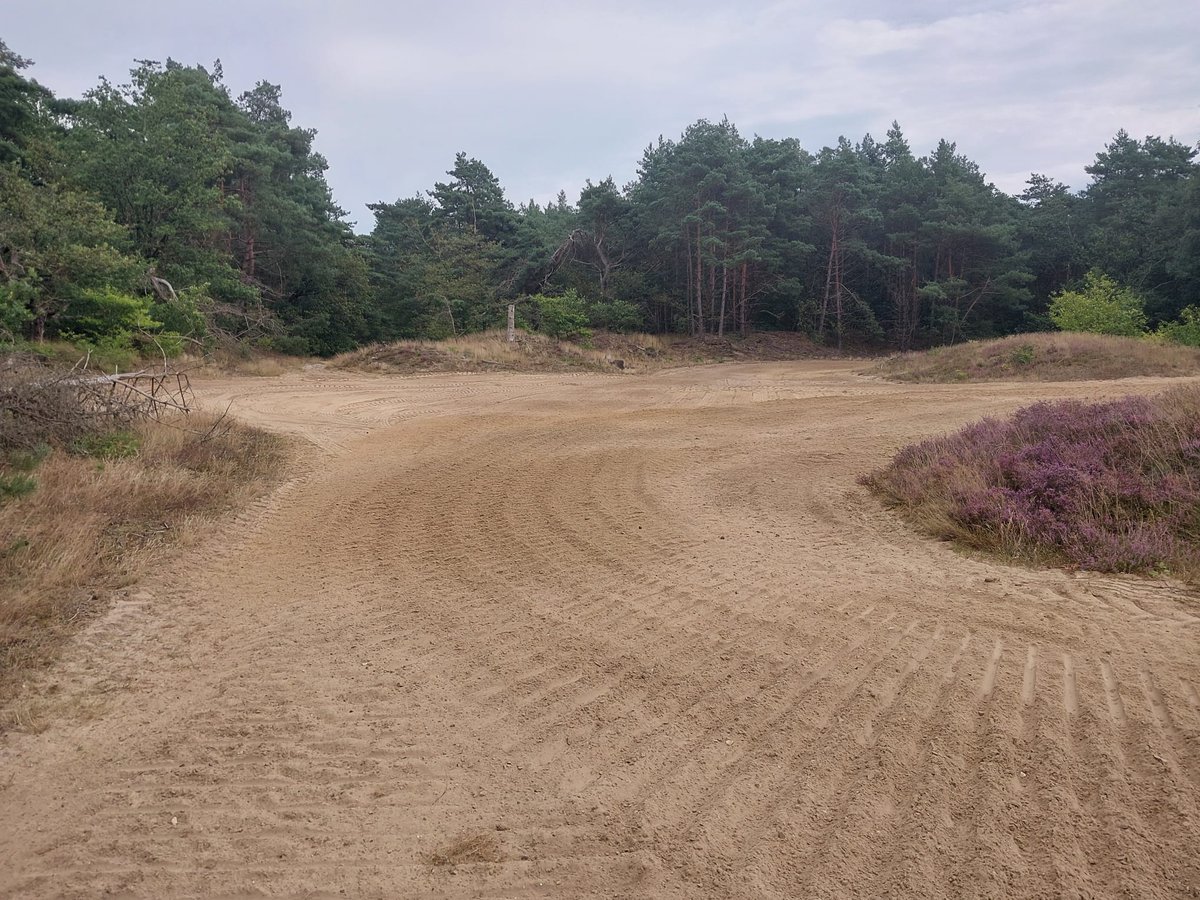 Voor de @bosgroepen hebben wij in het heidegebied van het Uffelterzand nabij Havelte een vergraste zandverstuiving hersteld door het losmaken en het zeven van de toplaag om het verstuiven van het zand weer mogelijk te maken. Hierdoor ontstaan er weer natuurlijke stuifduinen.