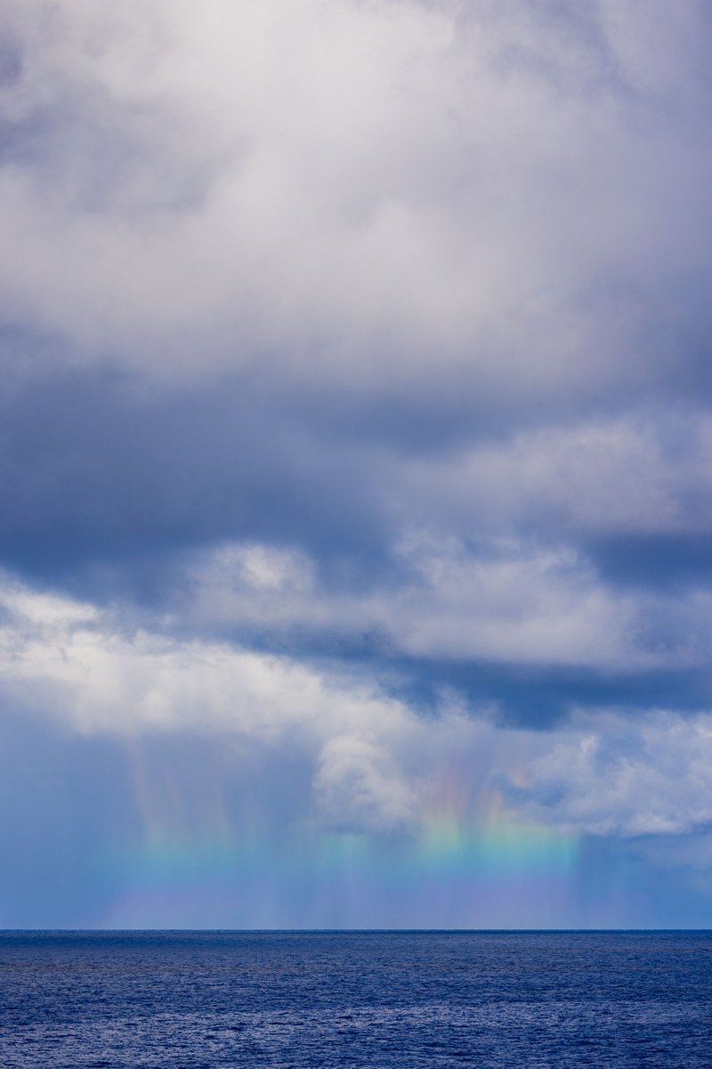 The Ocean Cleanup tweet media
