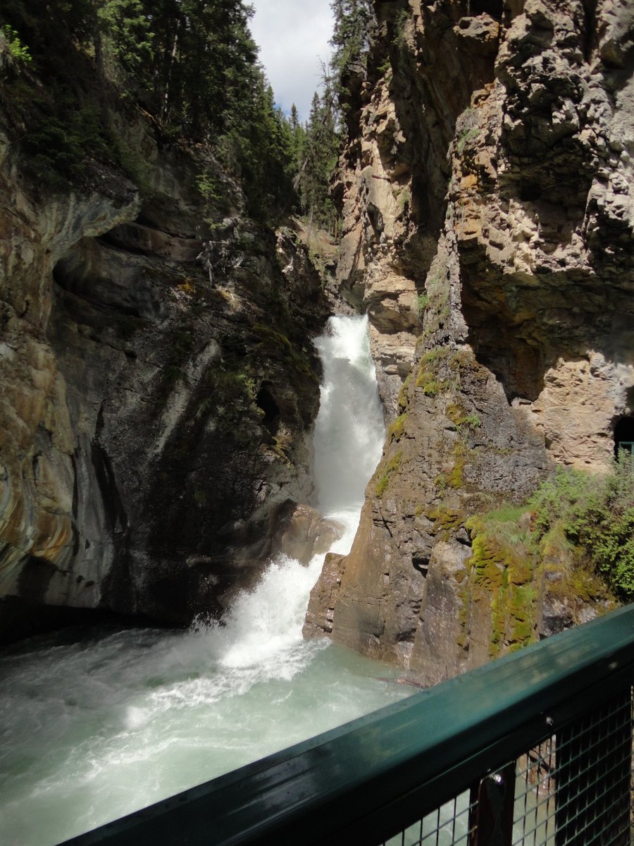 putsomthing_'s tweet photo. take me back to canada https://t.co/ijOkciBesD