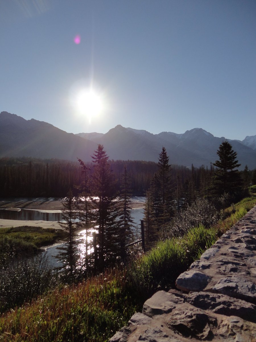 putsomthing_'s tweet photo. take me back to canada https://t.co/ijOkciBesD