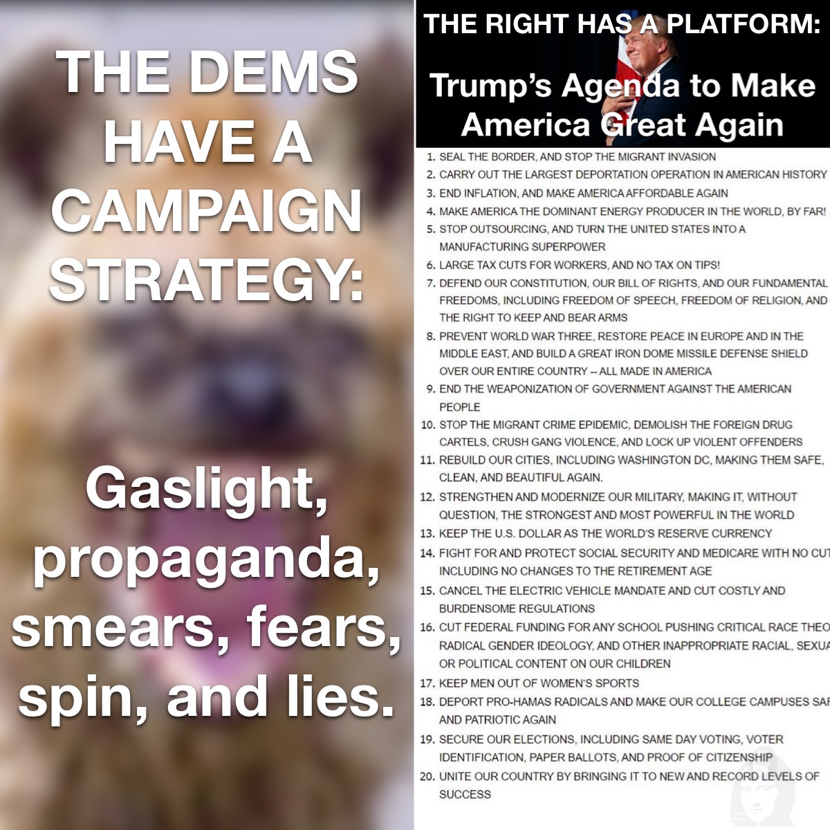 MonaKnows2's tweet photo. GROK sums up what has been happening at the DNC “Criticism of Trump: 
The majority of the content at the Democratic National Convention (DNC) has been focused on criticizing Donald Trump. Various X posts suggest that around 70% to 90% of the speeches and discussions have been dedicated to attacking Trump, with some users even suggesting that it's been nearly 100% focused on him.
Discussion on Plans and Policies: 
Conversely, the discussion on plans, policies, or how to address America's future has been minimal. X users have noted that there's been very little to no substantive policy discussion, with estimates ranging from 0% to 10% of the convention's content being about policy or plans for America's future.”
