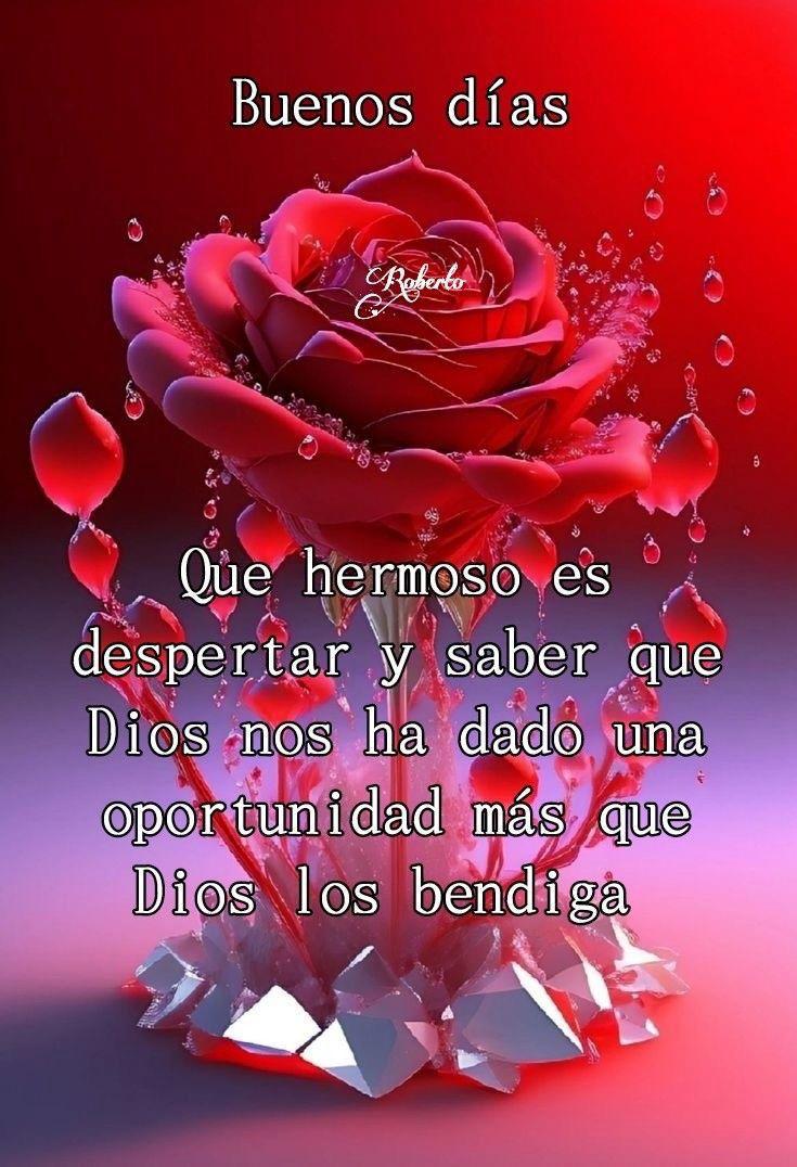 Buenos días mis lindos tuiteros feliz jueves de Jesús sacramentado que su cuerpo y sangre preciosa nos proteja siempre amén  🙏