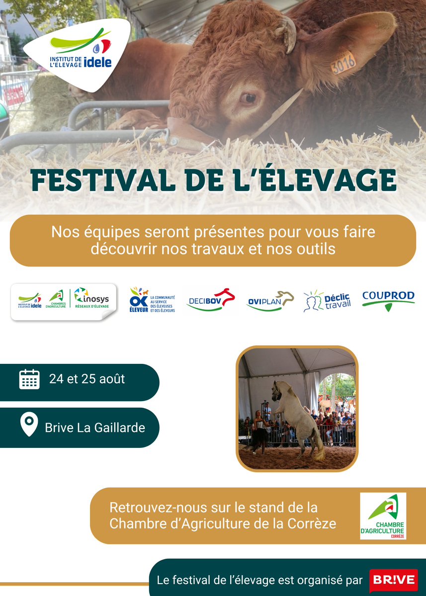 InstitutElevage's tweet image. J-1 📅 | Festival de l'#élevage
✅ Rencontrez nos équipes 
✅ Découvrez nos travaux et nos outils :  #INOSYS Réseaux d'élevage, @OkEleveur, Decibov, Oviplan, Déclic Travail &amp;amp; CouProd 
📅 Les 24 et 25 août
📌 A Brive en Corrèze
⏩ Organisé par @villedebrive