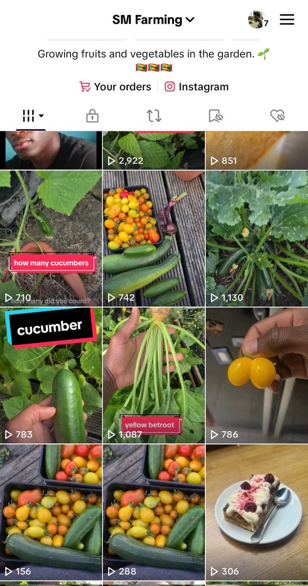 Smfarming on Tiktok. Plenty things growing