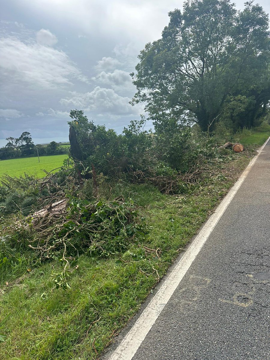trafficscotland's tweet photo. @SWTrunkRoads UPDATE❗⌚16:16
#A75 Cardoness, near Gatehouse of Fleet
⛔ Remains CLOSED in both directions due to a fallen tree.
The closure will remain till the tree is safely removed
#A714 busy due to traffic congestion
Diversion below👇
@SWTrunkRoads https://t.co/B0U0Q87ozR