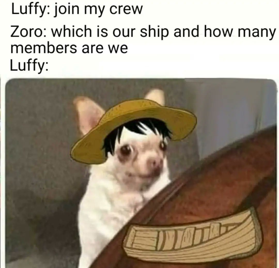 DailyOPMemes's tweet photo. Anime : One Piece https://t.co/ehQr0KvkWC