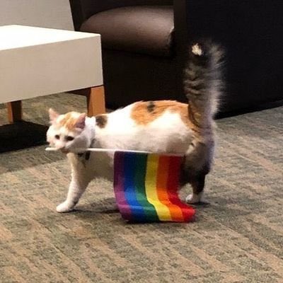F1ToRuleThemAll's tweet photo. 🌈 https://t.co/s2jqXBwvkp