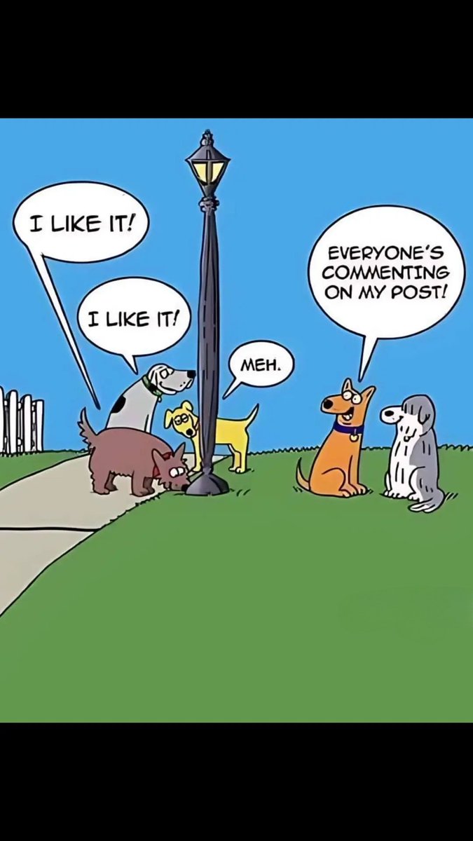 All_Paws_Matter's tweet photo. They say 'sniffing' and marking the spot is like social media for dogs 🐕 🤣
#doghumour #dogs #ilovedogs #walkies #sniffari https://t.co/uwNTtGJz82