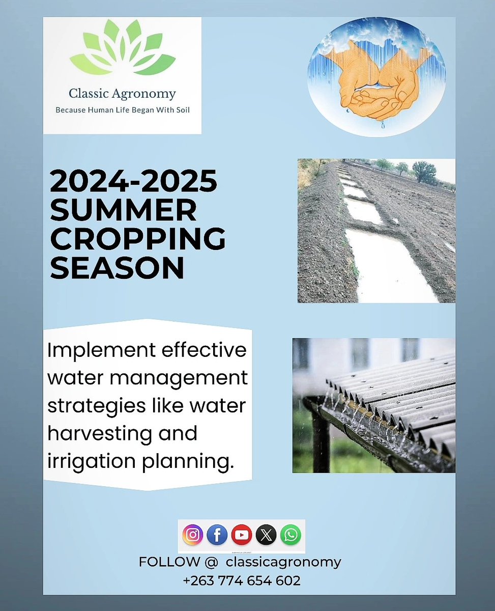 Water Management for La Niña

🌧️Make the most of La Niña's rainfall! 
🌦️ Implement effective water management strategies like water harvesting and irrigation planning. 
💦Prevent waterlogging and maximize crop yield #WaterManagement #LaNina #AgricultureTips
#classicagronomy