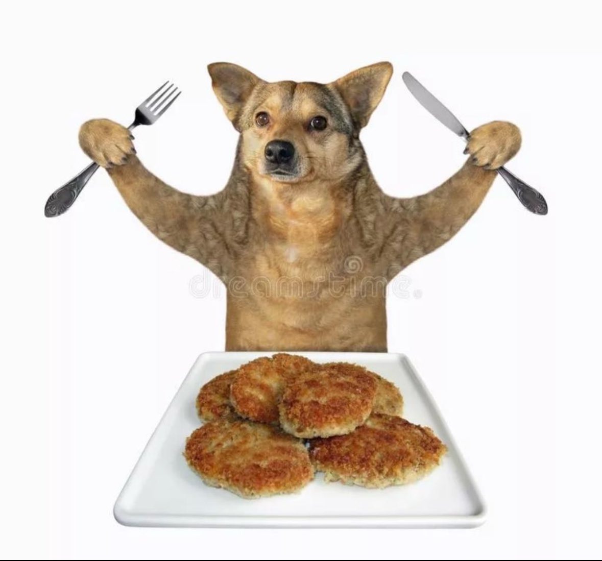 ErrowTV's tweet photo. Mhh lecker schmecker Kartoffelkratan https://t.co/8nE6fcKrK6