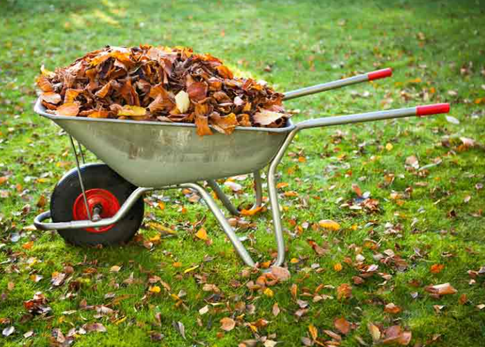 Autumn is coming, which means you need to prepare your garden for the cold weather.

Before the arrival of frosty days with sub-zero temperatures, sanitary and shaping pruning is important. Have time to:

-remove branches of sick and pest-infested trees;

-cut out dry old