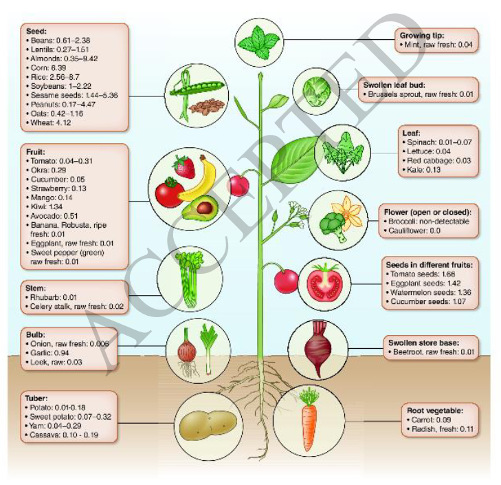 HarborKidney's tweet photo. The Relevance of Phytate for the Treatment of Chronic Kidney Disease: Clinical Journal of the American Society of Nephrology @CJASN
https://t.co/22KZGx44lB
#phytate #phosphorus #phosphate #CKD #RenalNutrition #PLADO #PLADOdiet @kamkalantar @ConnieMRhee https://t.co/yKDCaY4kyw