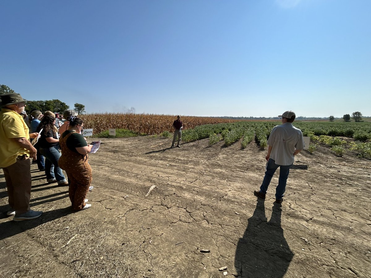 Mary Love Tagert (@marylovetagert) on Twitter photo Great job by my <a href="/MSU_AG/">MSU CALS/MAFES</a> grad student Cooper talking about his <a href="/MSSOY/">MS SOYBEAN BOARD</a> project on the effect of cropping systems on iron deficiency chlorosis in soybean today <a href="/MSU_nmrec/">North MS R&E Center</a> annual Field Day. Beautiful day on the farm! Great job by my <a href="/MSU_AG/">MSU CALS/MAFES</a> grad student Cooper talking about his <a href="/MSSOY/">MS SOYBEAN BOARD</a> project on the effect of cropping systems on iron deficiency chlorosis in soybean today <a href="/MSU_nmrec/">North MS R&E Center</a> annual Field Day. Beautiful day on the farm!