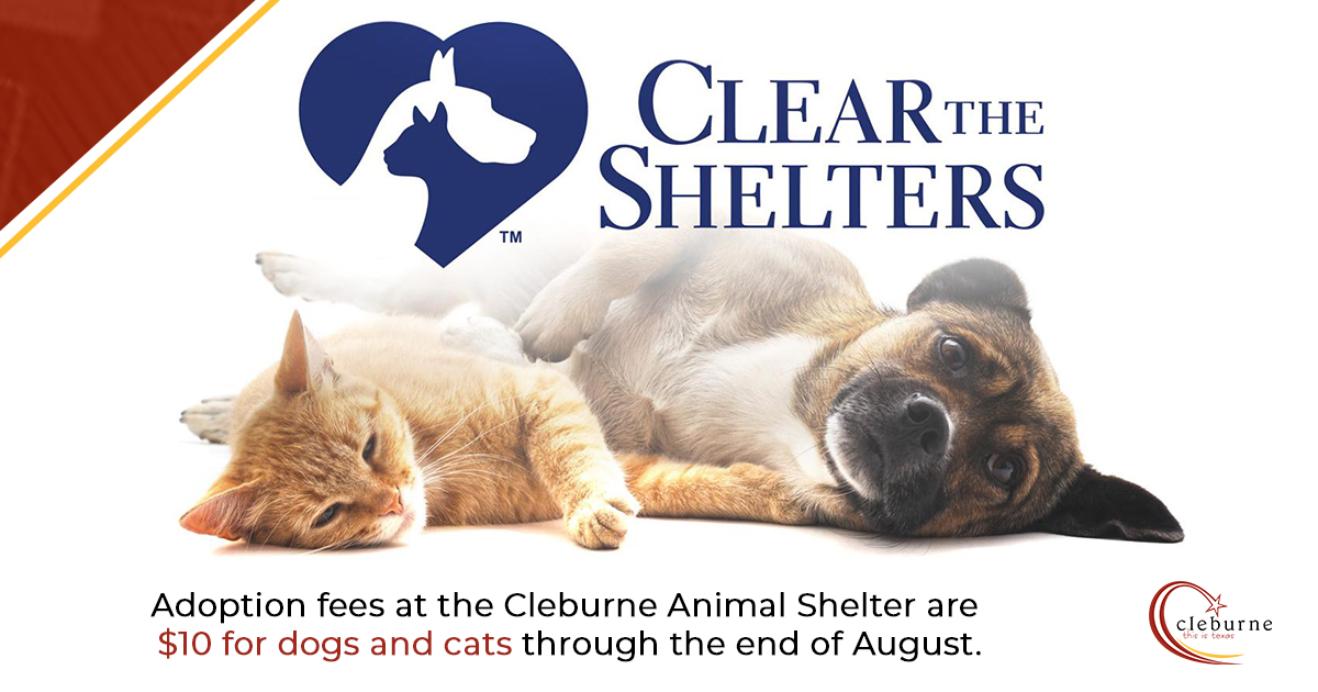 Pssst. Adoption fees are only $10 for cats and dogs at our shelter throughout the end of the month. The discount is in honor of Clear the Shelters Month, so check out the available pets &amp; start the adoption process today ➡️ cleburne.net/petadoptions.